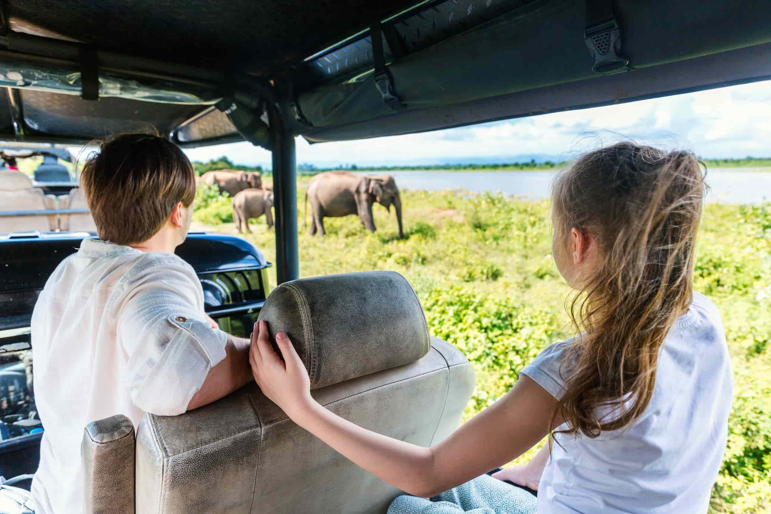 udawalawe-national-park-family-safari-scaled-min